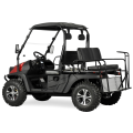 Jeep 400cc EFI Golf Cart UTV avec EPA